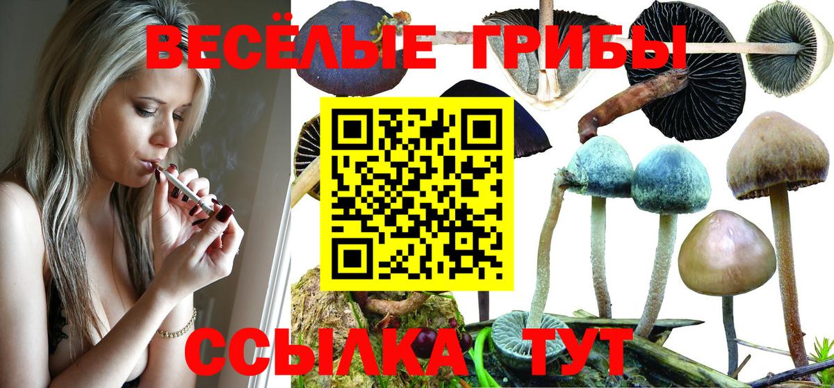 Меф МЯУ МЯУ   ГАШ  Каннабис  Экстази  ГАШИШ  Вход с VPN  Новоалтайск  Метамфетамин 
