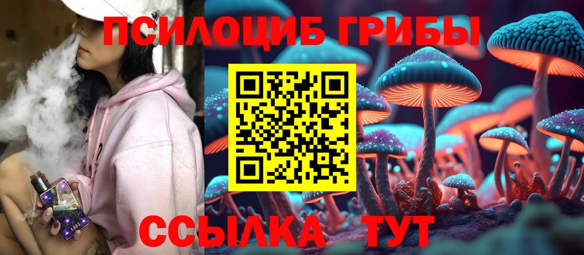 Галлюциногенные грибы Magic Shrooms  Вход с VPN  Новоалтайск 
